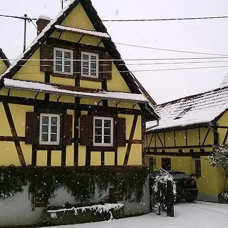Villa chez salome et fritz à Ingolsheim Extérieur photo