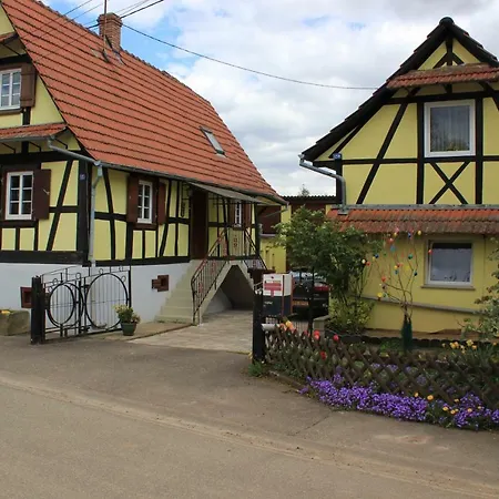 Villa chez salome et fritz à Ingolsheim Extérieur photo