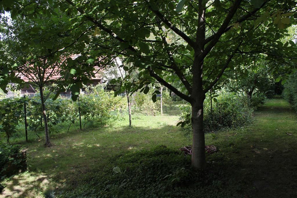 Chez Salome Et Fritz
