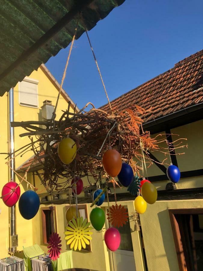 Hébergement de vacances Chez Salome Et Fritz